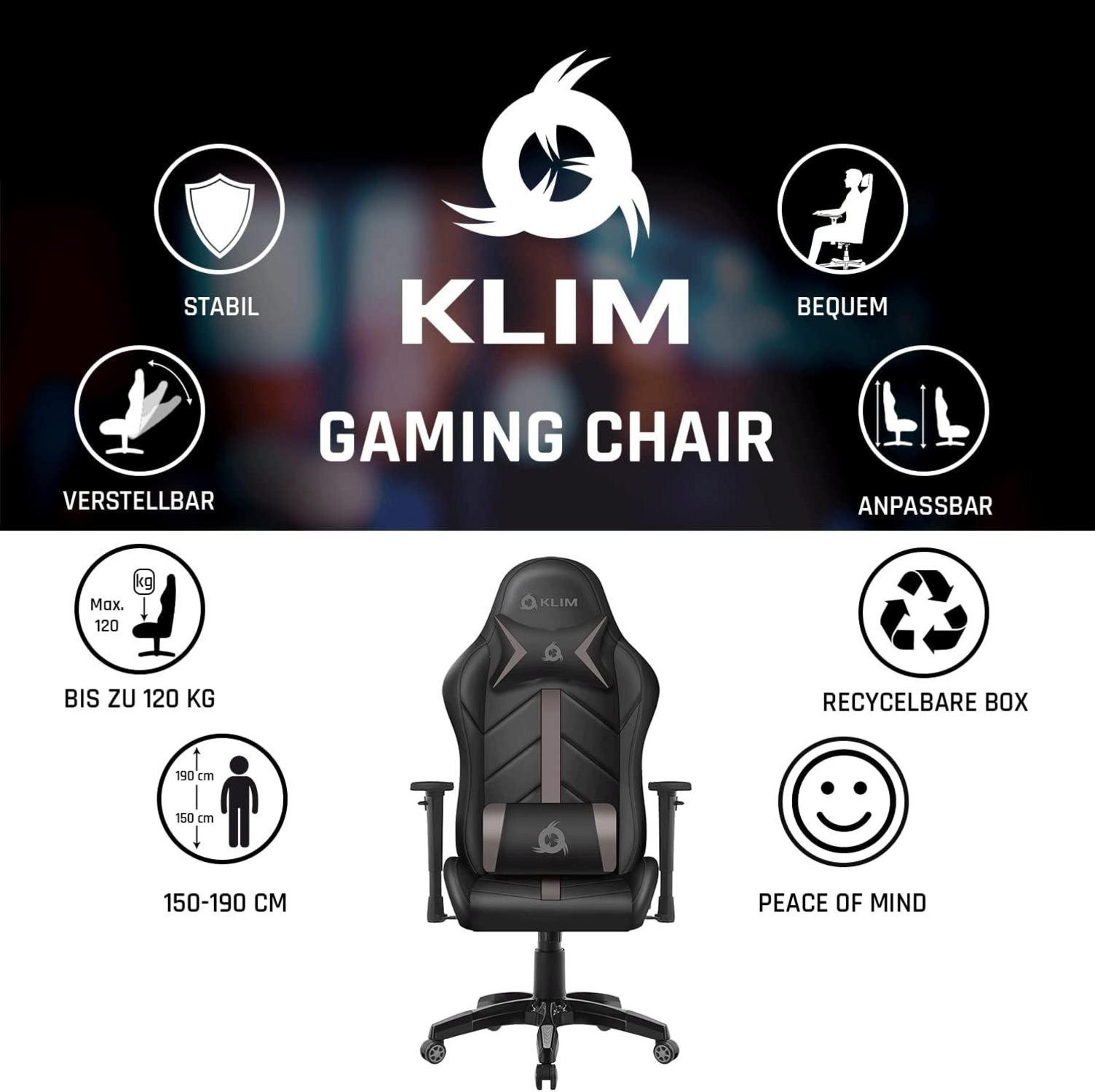 Gaming Chair 2024 Rücken Kopfstütze Armlehnen Räder Grau