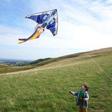 Fighter Plane Kite für Kinder und Erwachsene Leicht zu Fliegender