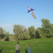Fighter Plane Kite für Kinder und Erwachsene, Leicht zu Fliegender Einleiner-Drachen, Anfängerdrachen für Strandausflüge