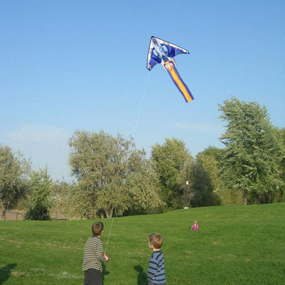 Fighter Plane Kite für Kinder und Erwachsene, Leicht zu Fliegender Einleiner-Drachen, Anfängerdrachen für Strandausflüge