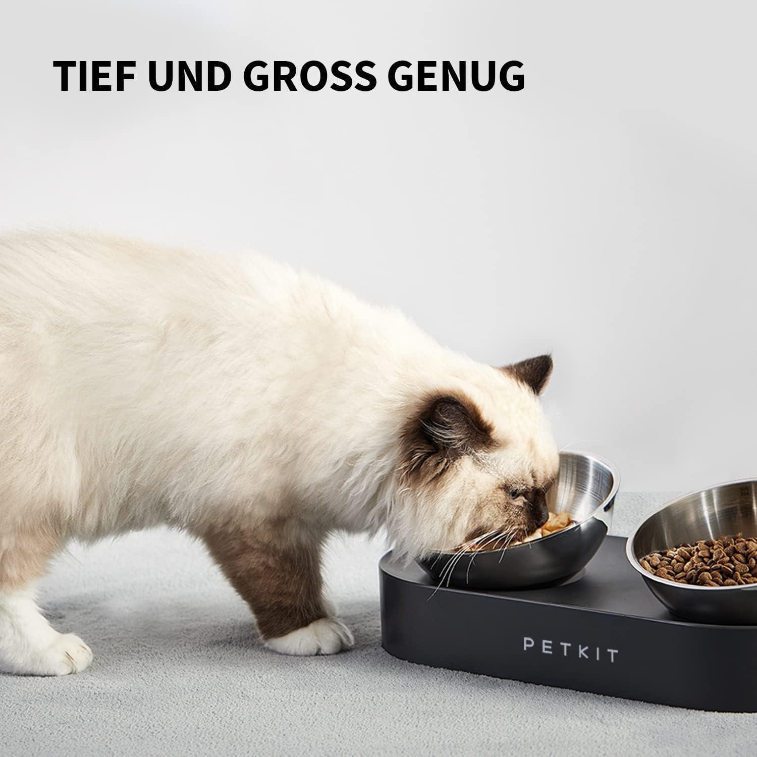 Erhöhte Schüssel Edelstahl geneigt rutschfest Katzen Napf Hunde
