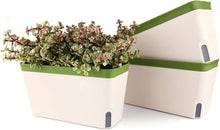 Selbstwässernder Blumenkasten 3er-Set mit ERD-Bewässerungs-System