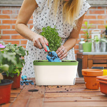Selbstwässernder Blumenkasten Kräutertopf 3er-Set Grün 27cm