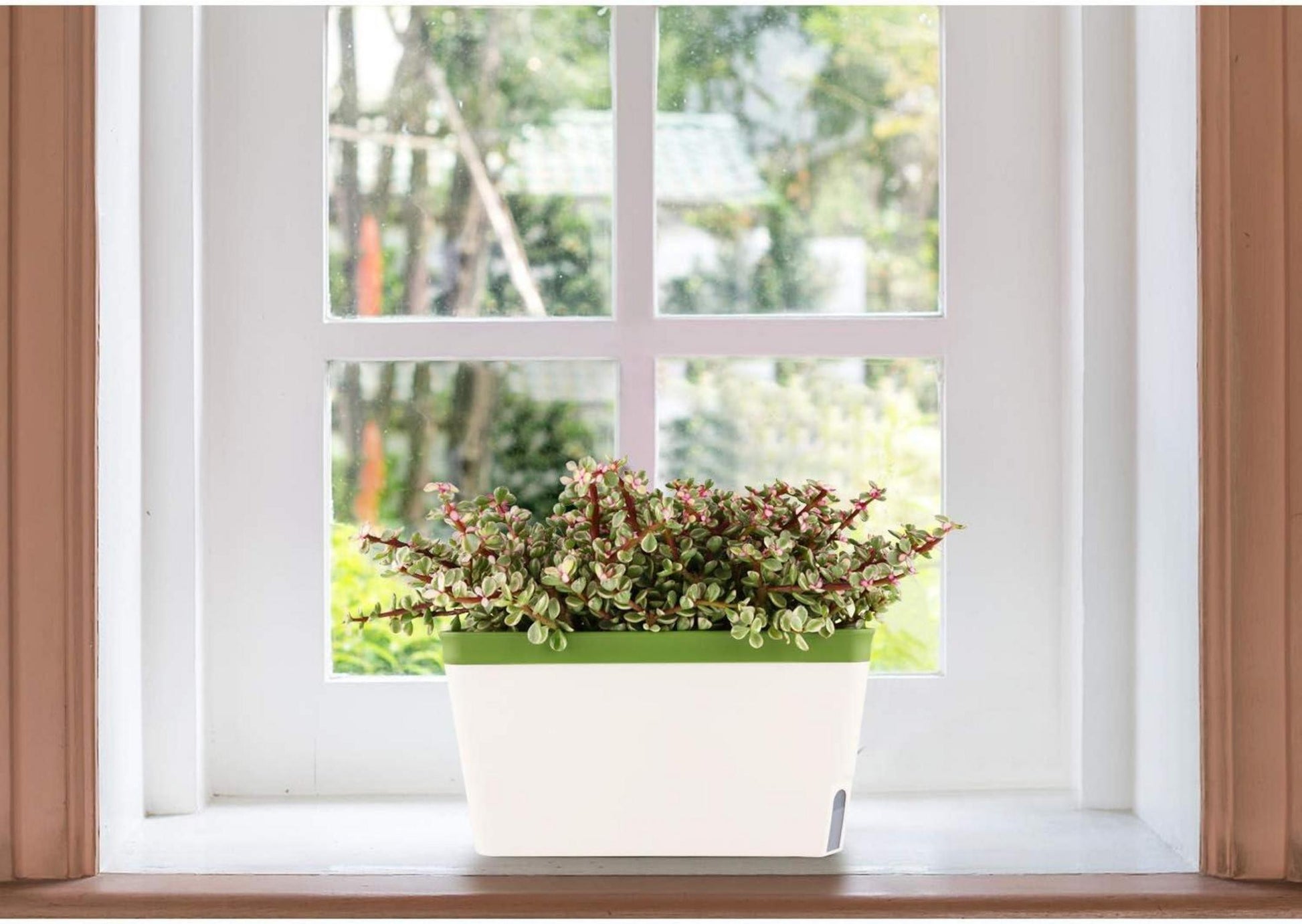 T4U Selbstwässernder Blumenkasten Kräutertopf 27cm Grün Set 3er