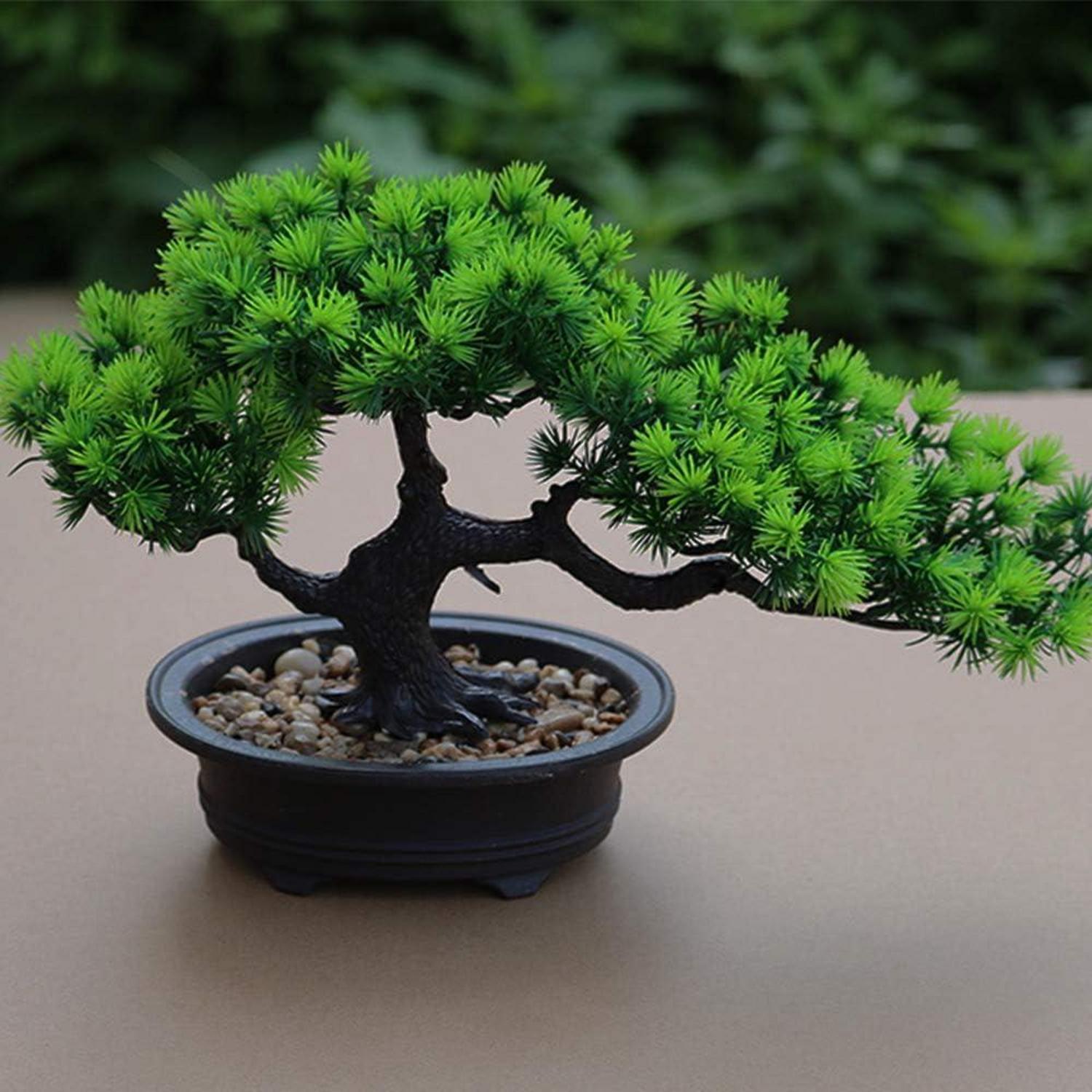 Künstlicher Bonsai-Baum Japanische Kiefern-Pflanze 19x34cm