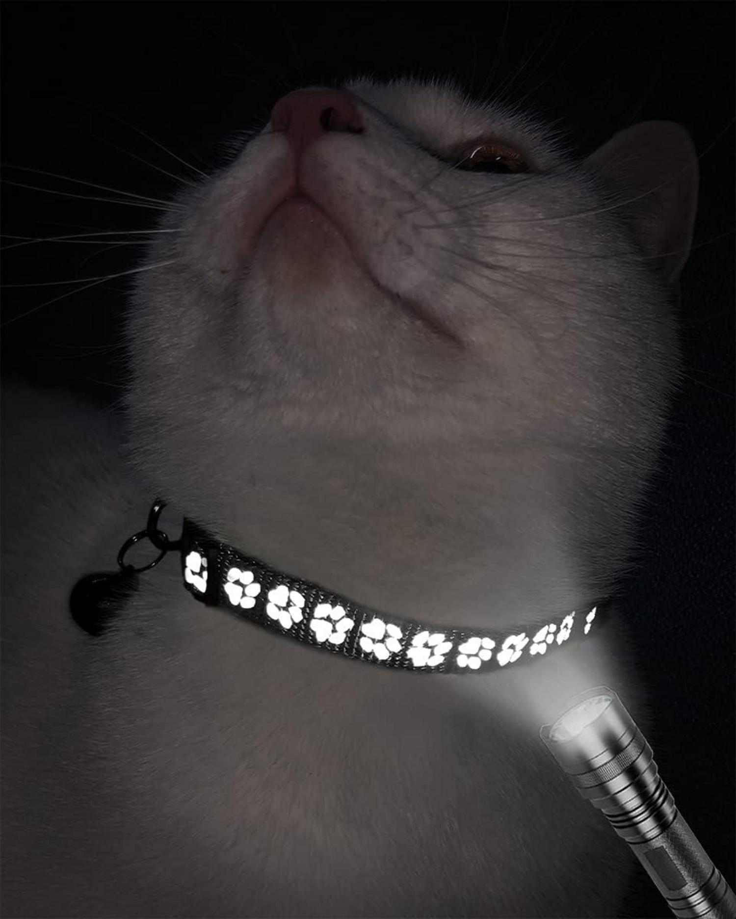 Reflektierendes Katzenhalsband 2er Pack Schwarz Verstellbar Halsband Kitten