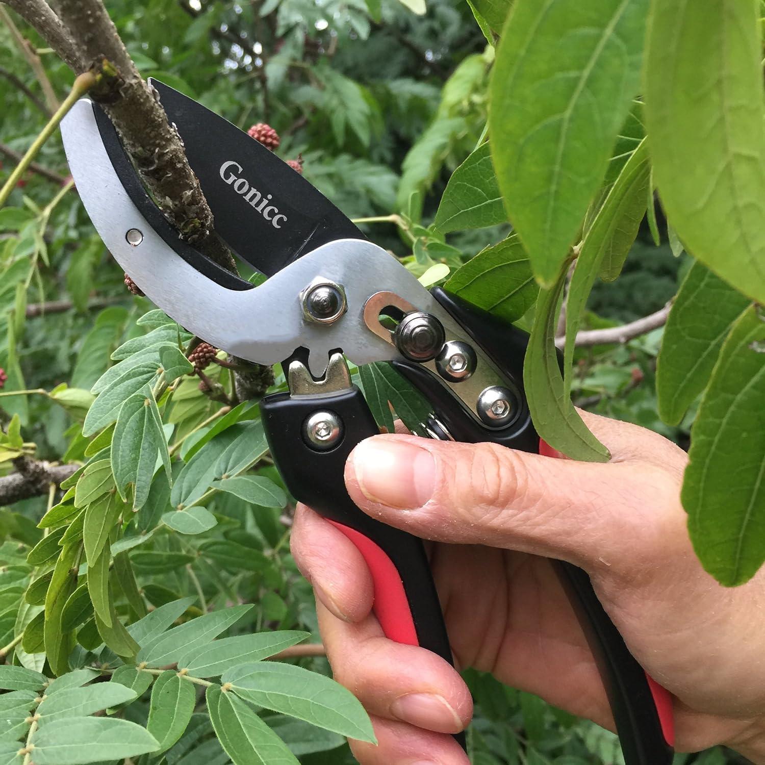 Gonicc Amboss Gartenschere mit Antihaftbeschichtung, Stabile Baumschere bis 24