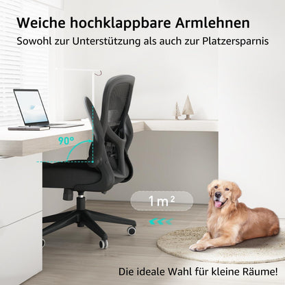 Hbada Ergonomischer Bürostuhl Computerstuhl Schwarz Armlehne Lendenwirbelstütze