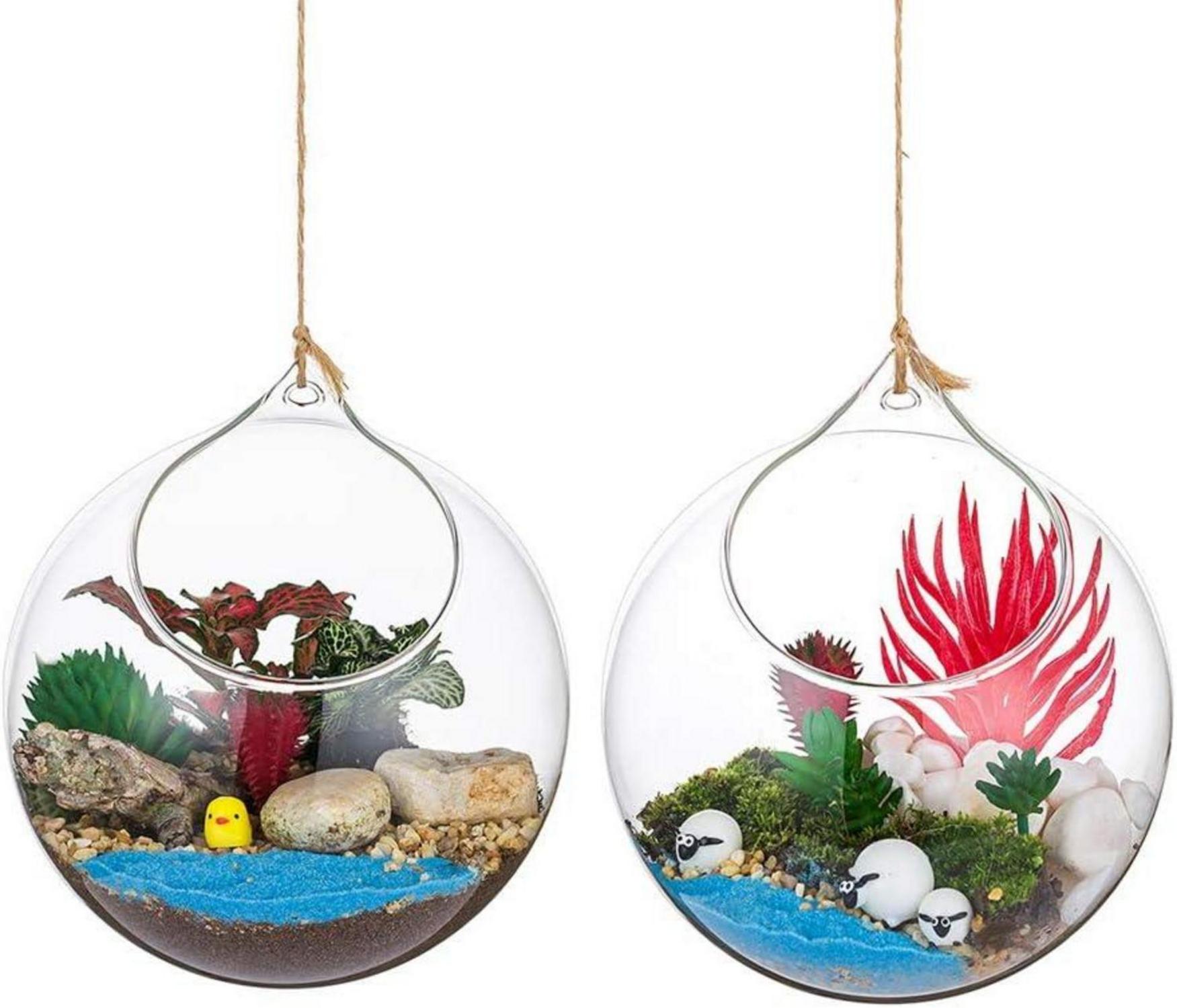 Hängende Glaskugel Vase 2 Stück Terrarium Sukkulenten DIY Design 12cm