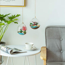 Hängende Glaskugel Vase Große Öffnung Sukkulenten Terrarium
