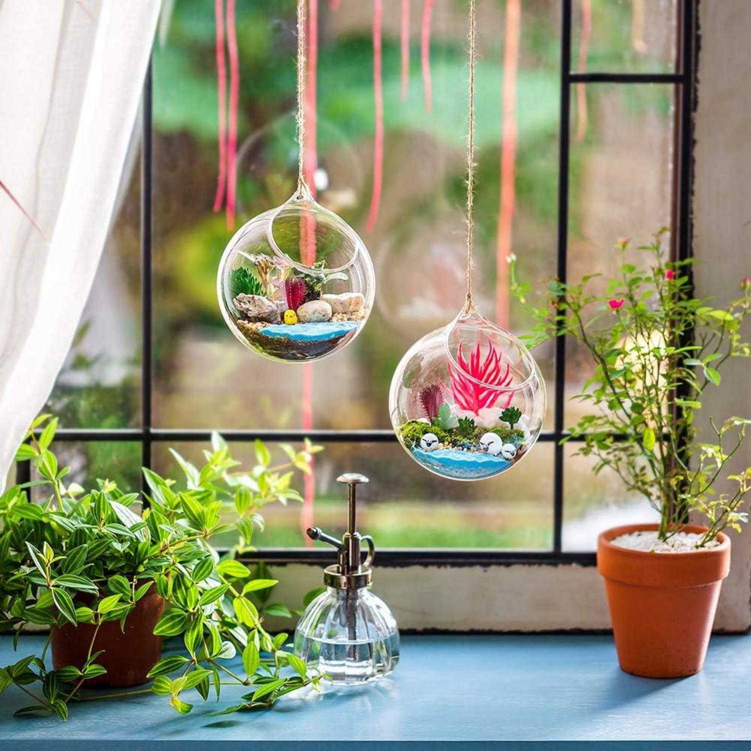 Hängende Glaskugel Vase Sukkulenten Terrarium DIY 2 Pcs 12cm Clear