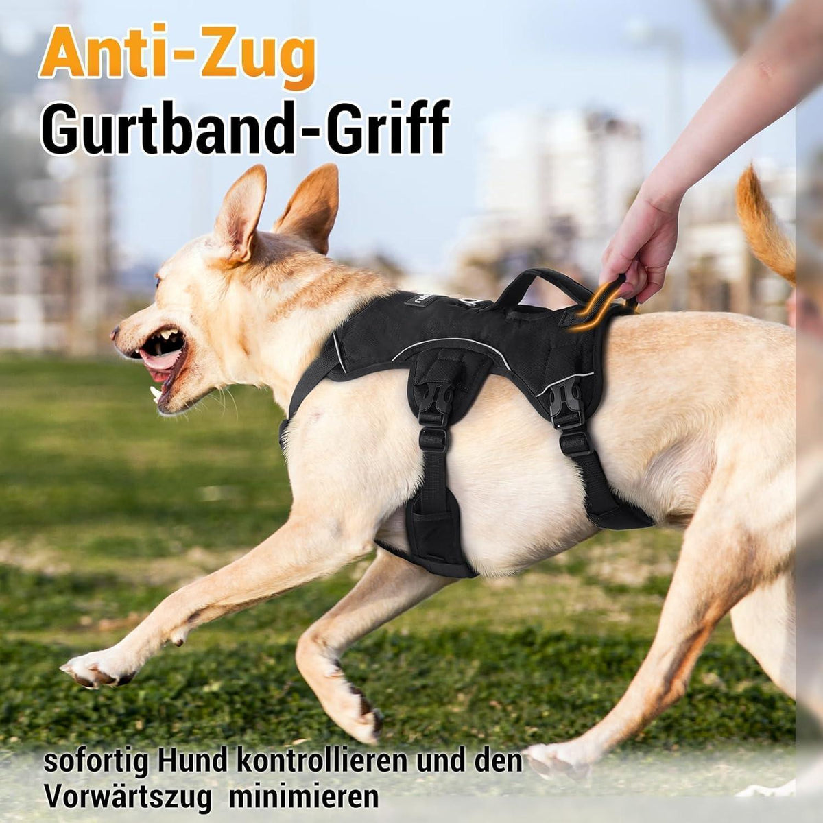 Ausbruchsicheres Hundegeschirr mit Griff, Schwarz XL