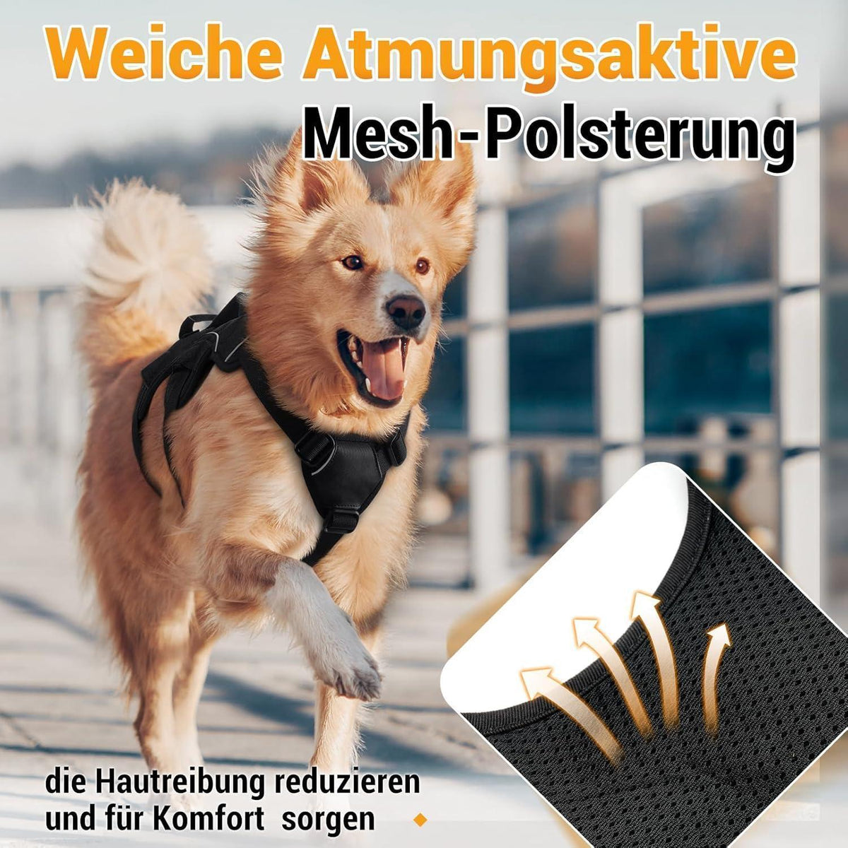 Ausbruchsicheres Hundegeschirr mit Griff, Schwarz XL
