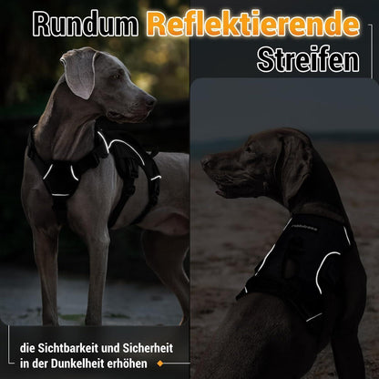 Ausbruchsicheres Hundegeschirr mit Griff, Schwarz XL