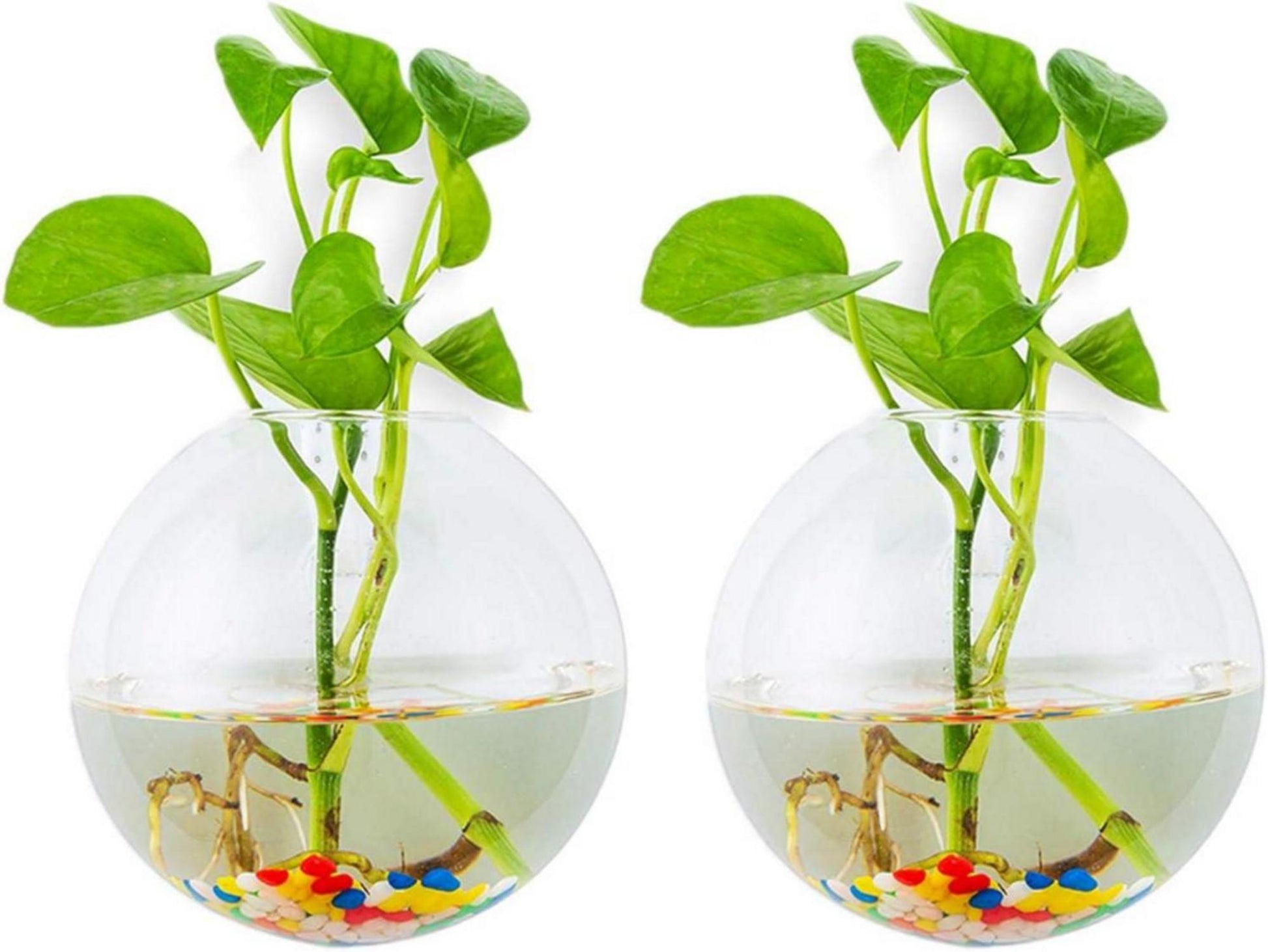 Wandbehang Glas Pflanzgefäße Sphärische Form Vase Terrarium Indoor