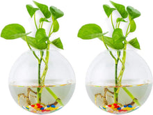 Wandbehang Glas Pflanzgefäße Sphärische Form Vase Terrarium Indoor