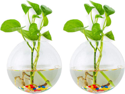 Wandbehang Glas Pflanzgefäße Sphärische Form Vase Terrarium Indoor