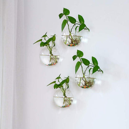 Wandbehang Glas Pflanzgefäße Terrarium Sphärische Form 2Stk. Vase 2,12 Unzen