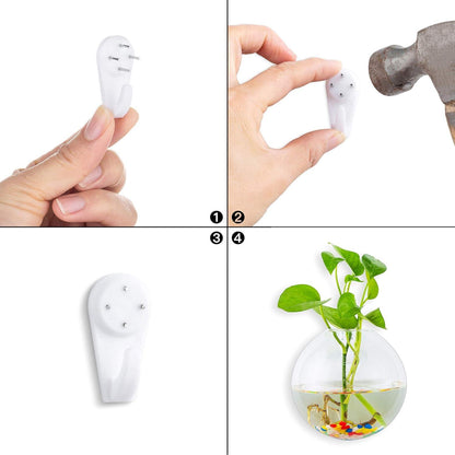 Wandbehang Glas Pflanzgefäße 2Stk. Sphärische Form Terrarium Vase