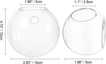 Wandbehang Glas Pflanzgefäße Terrarium Sphärische Form 2Stk. Vase 2,12 Unzen