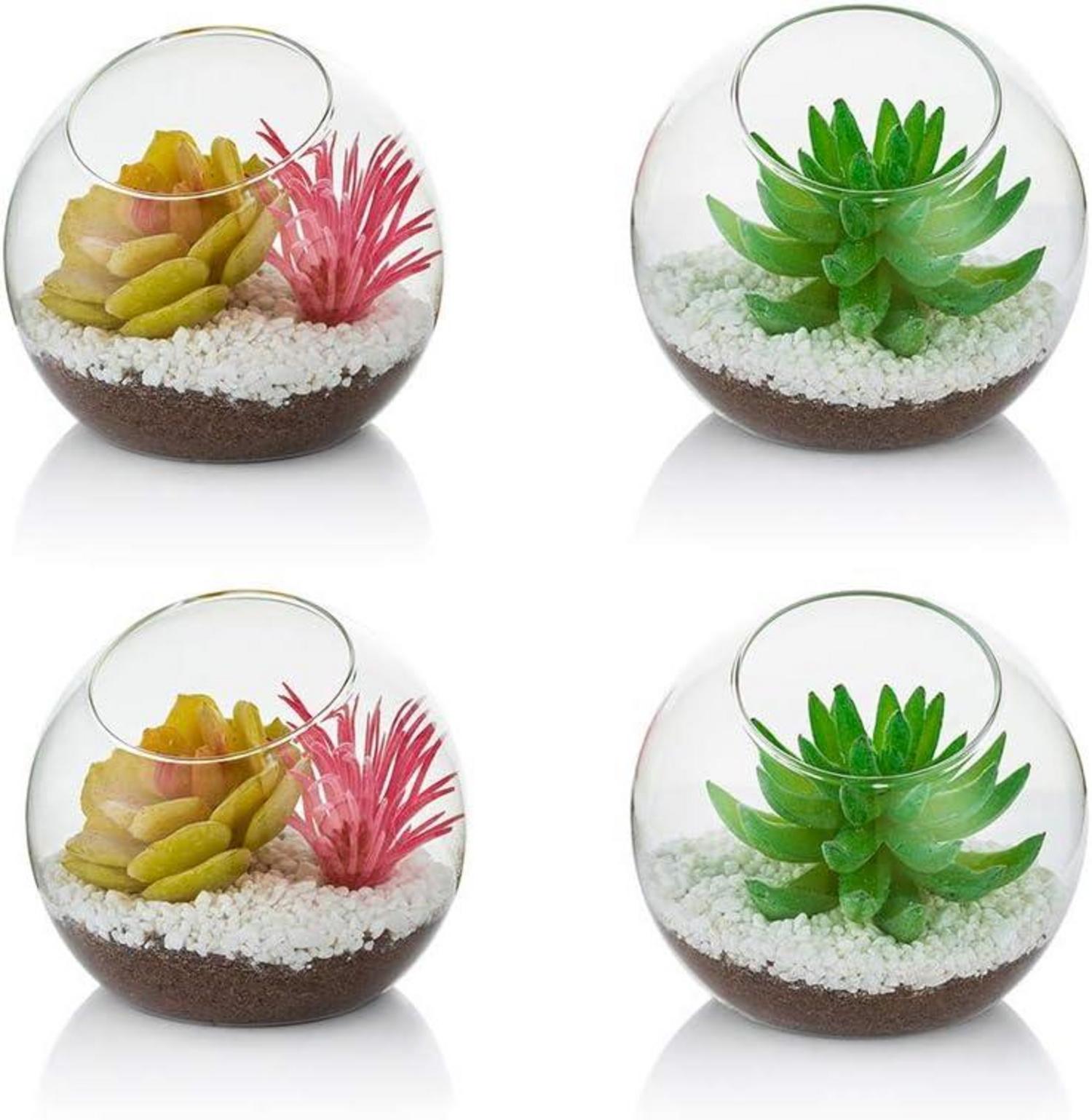Glas Luft Pflanze Terrarium 10cm Mini 4er Set Tisch Glas Vase