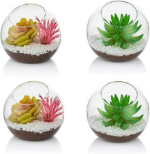 Glas Luft Pflanze Terrarium 10cm Mini 4er Set Tisch Glas Vase