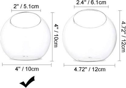 Mini Glas Terrarium Set 10cm 4er Pack Tisch Deko Sukkulenten Kaktus
