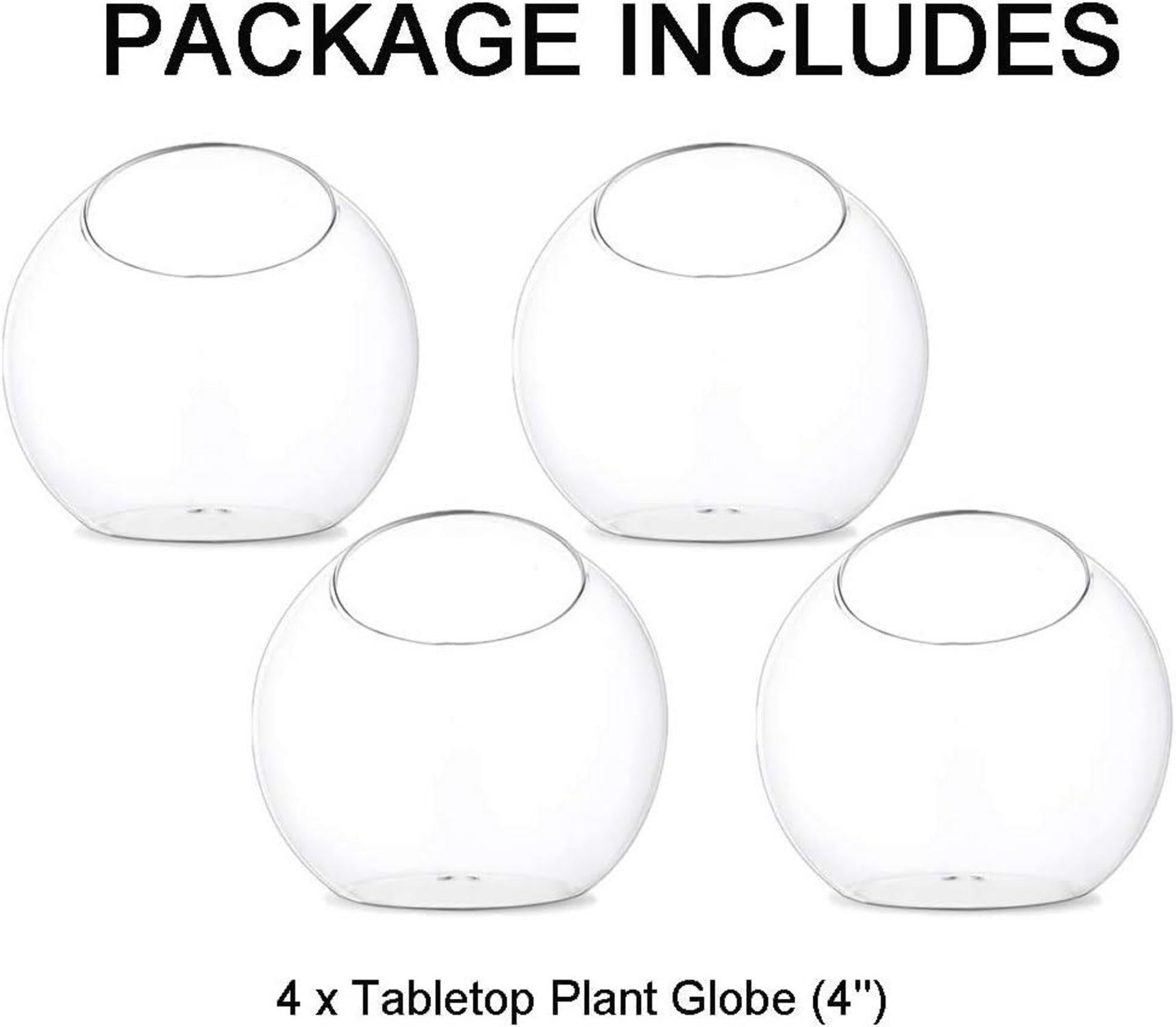 Glas Luft Pflanze Terrarium 10cm 4 Stück Tisch Glas Behälter Vase