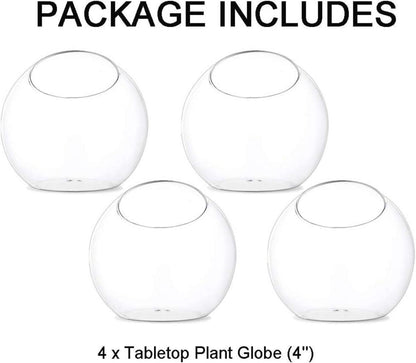 Glas Luft Pflanze Terrarium 10cm 4 Stück Tisch Glas Behälter Vase