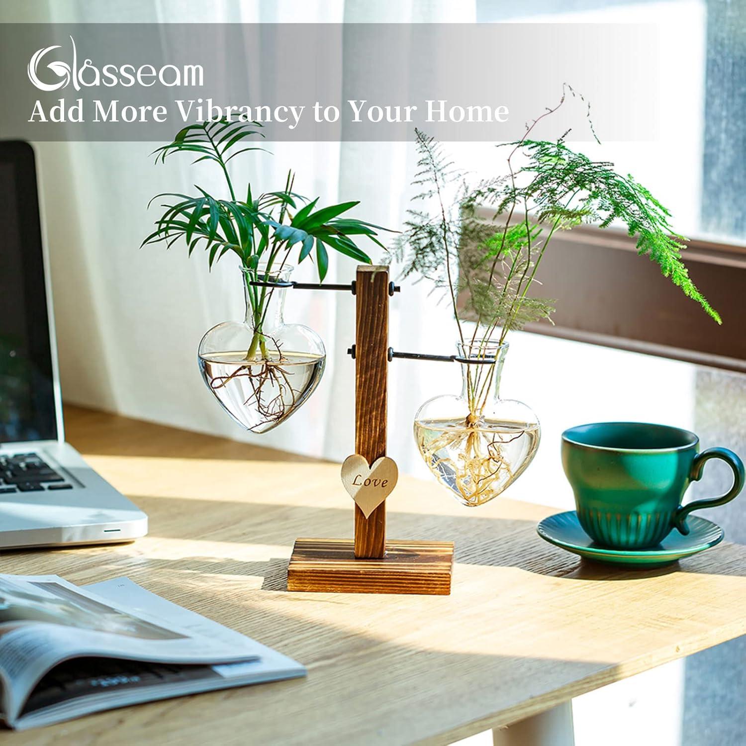 Glasseam Doppelherz Glaspflanzenterrarium Holzständer Hydroponikvasen