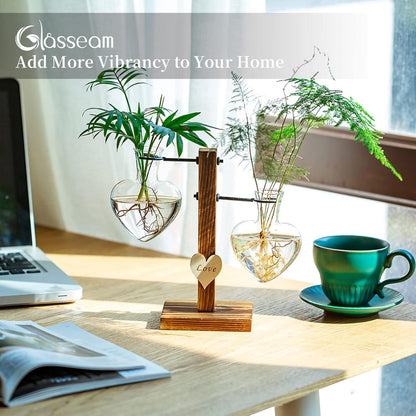 Glasseam Doppelherz Glaspflanzenterrarium Holzständer Hydroponikvasen