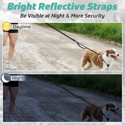 Bungee Hundeleine mit Reflektierenden