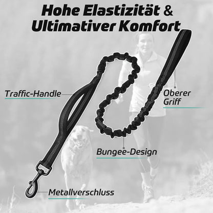 Reflektierende Bungee Hundeleine mit Gepolsterten Griffen Schwarz