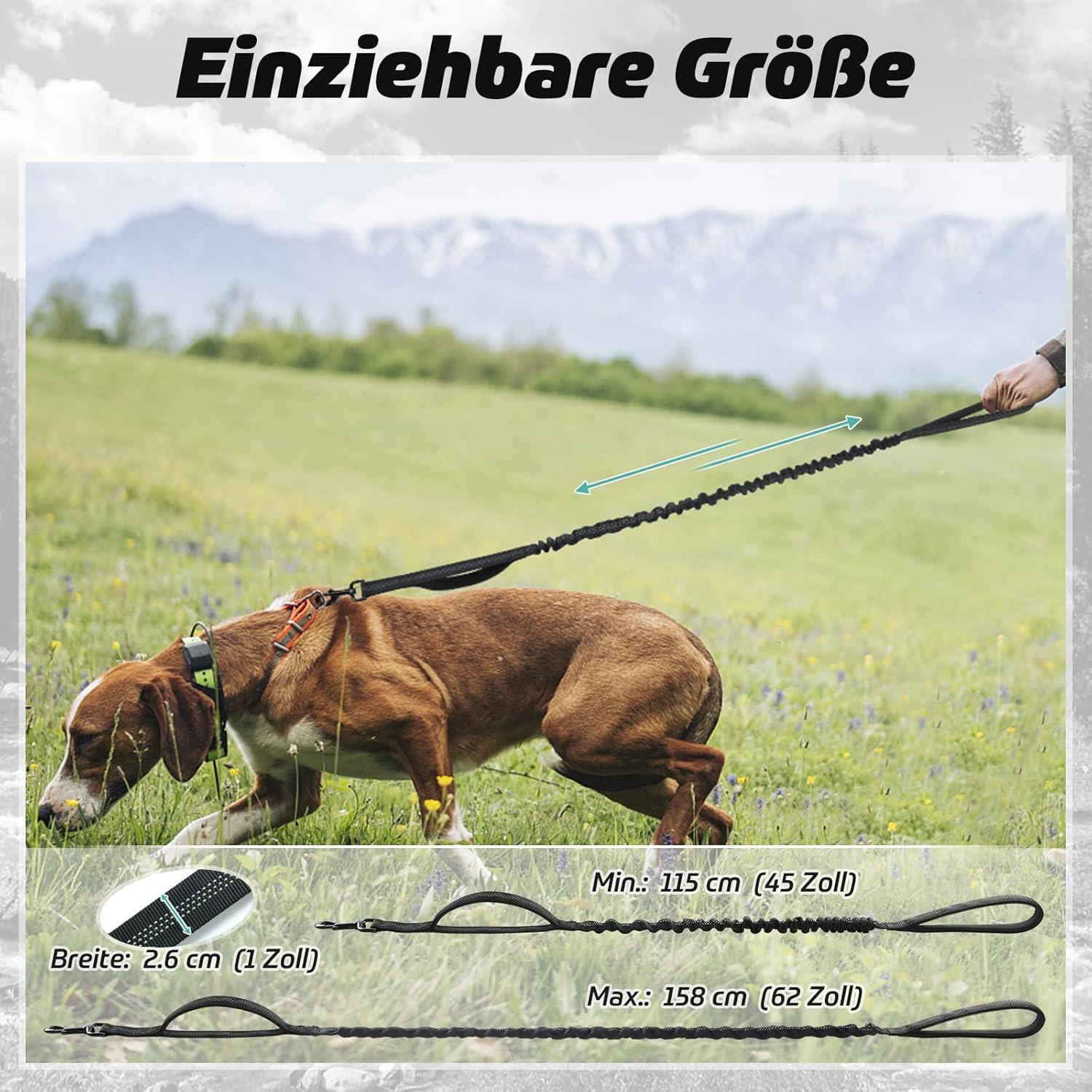 Hundeleine mit 2 Gepolsterten Griff, Reflektierend, Elastisch, Schwarz 114-158cm