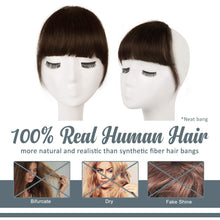 Echthaar Clip in Pony, Dicker Braun Extensions mit Schläfen