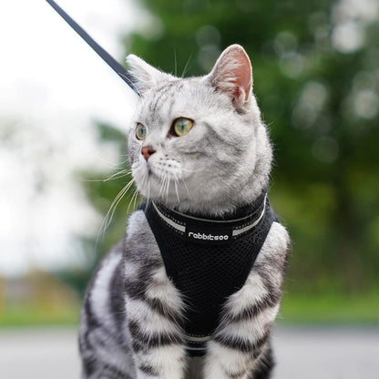 Katzengeschirr mit Leine, ausbruchsicher, verstellbar, Größe M, Schwarz