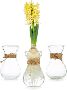Glasvasen Blumenarrangements Kristallknospenvasen 3er-Set