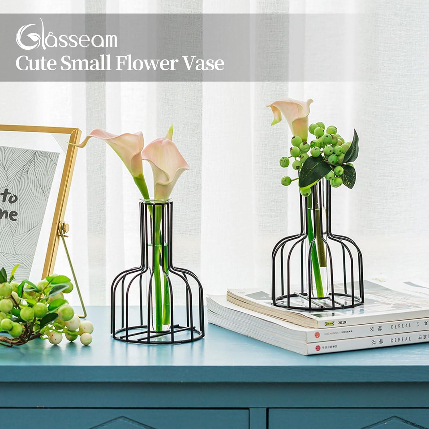 2er Set Mini Glasvasen Schwarz Tischdeko Blumenvase Modern