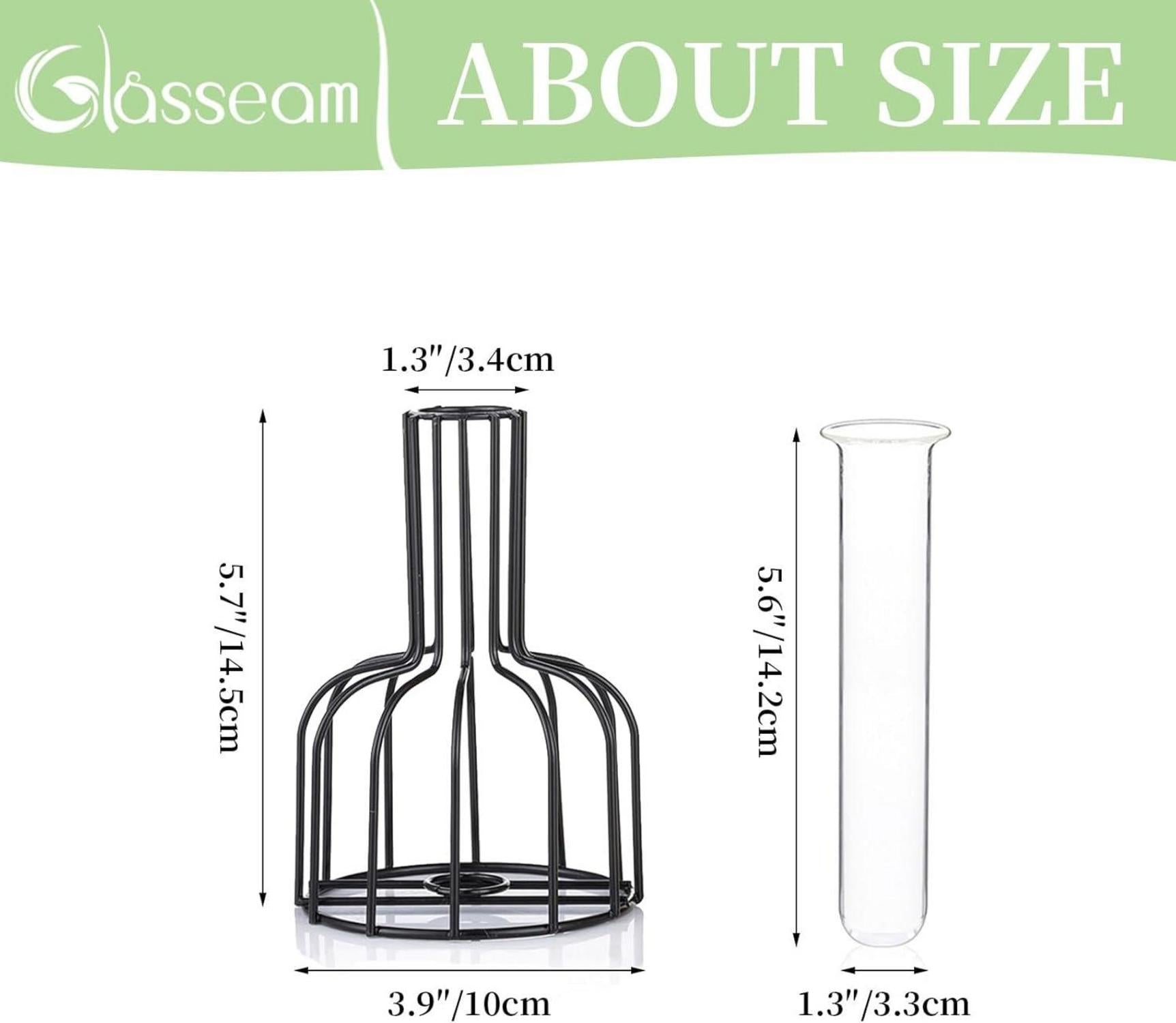 Mini Glasvasen Set Schwarz für Tischdeko Blumenvase Moderne Hydroponic Bud
