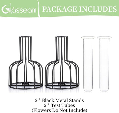 2er Set Mini Glasvasen Schwarz - Modernes Hydroponik Blumenvase für
