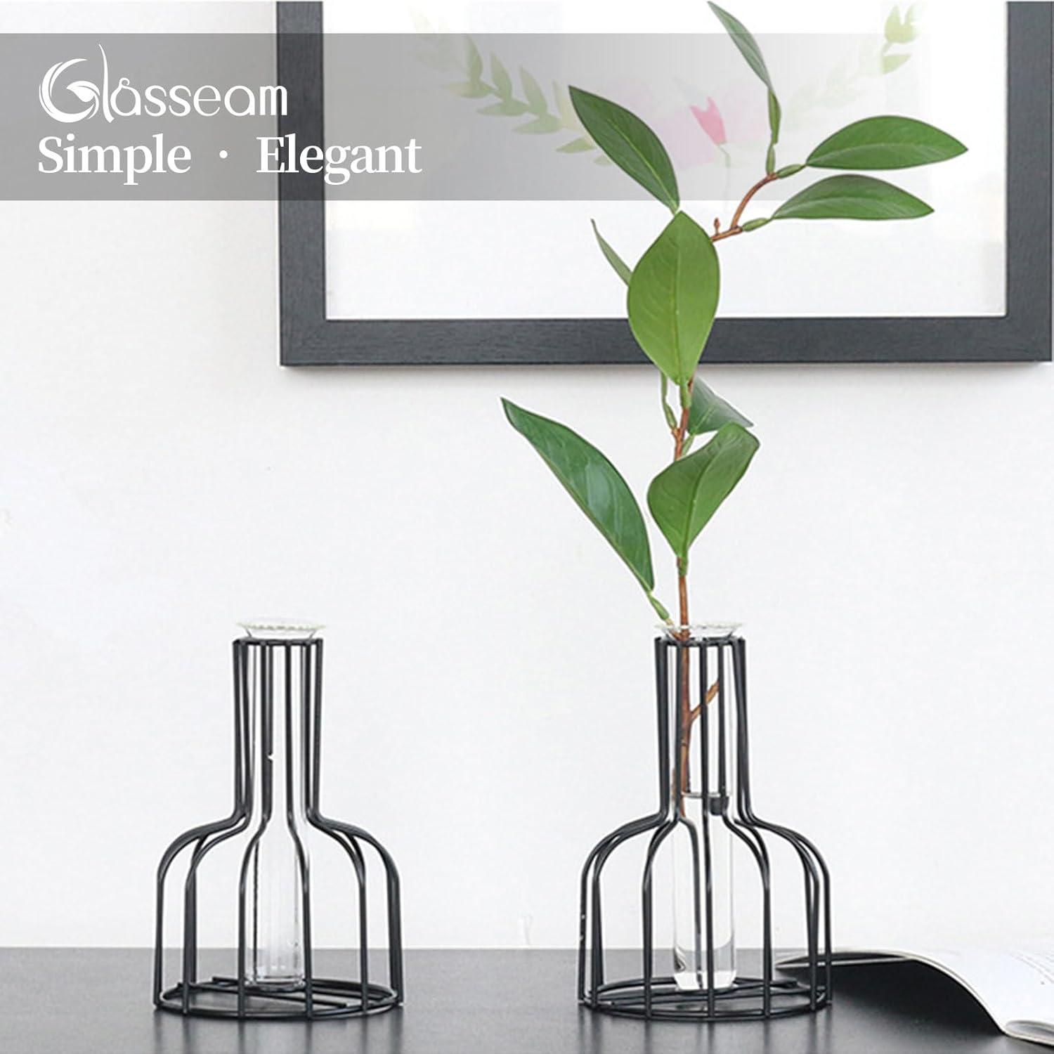 Mini Glasvasen Set Schwarz für Tischdeko Blumenvase Moderne Hydroponic Bud