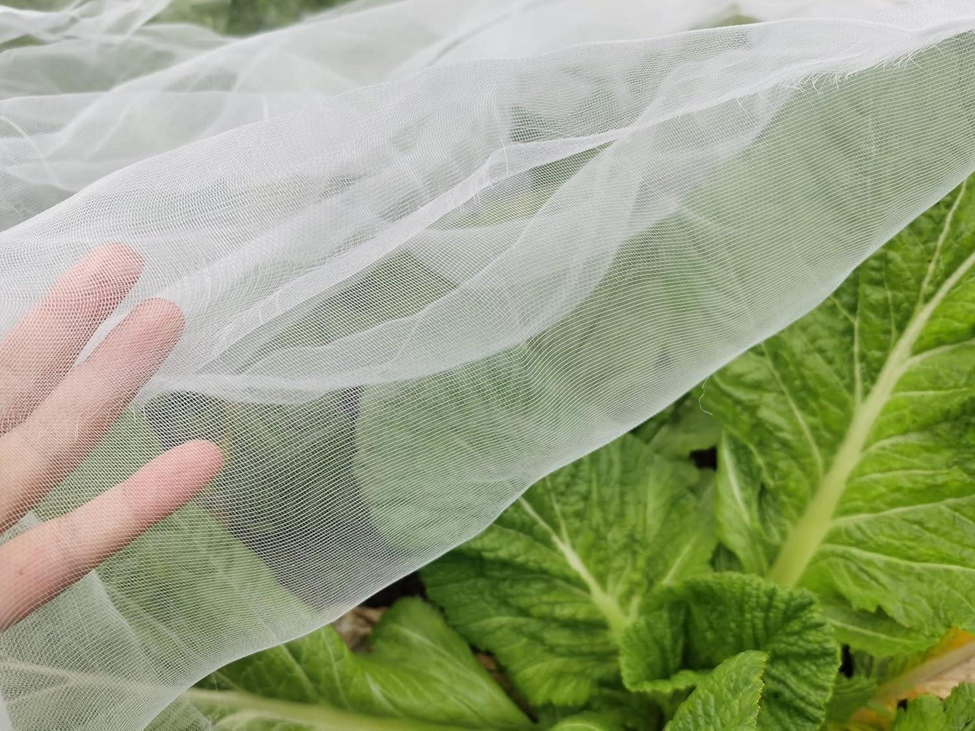 Gartennetz Gemüse Blumen Schutznetz Insektenschutznetz 3x8m