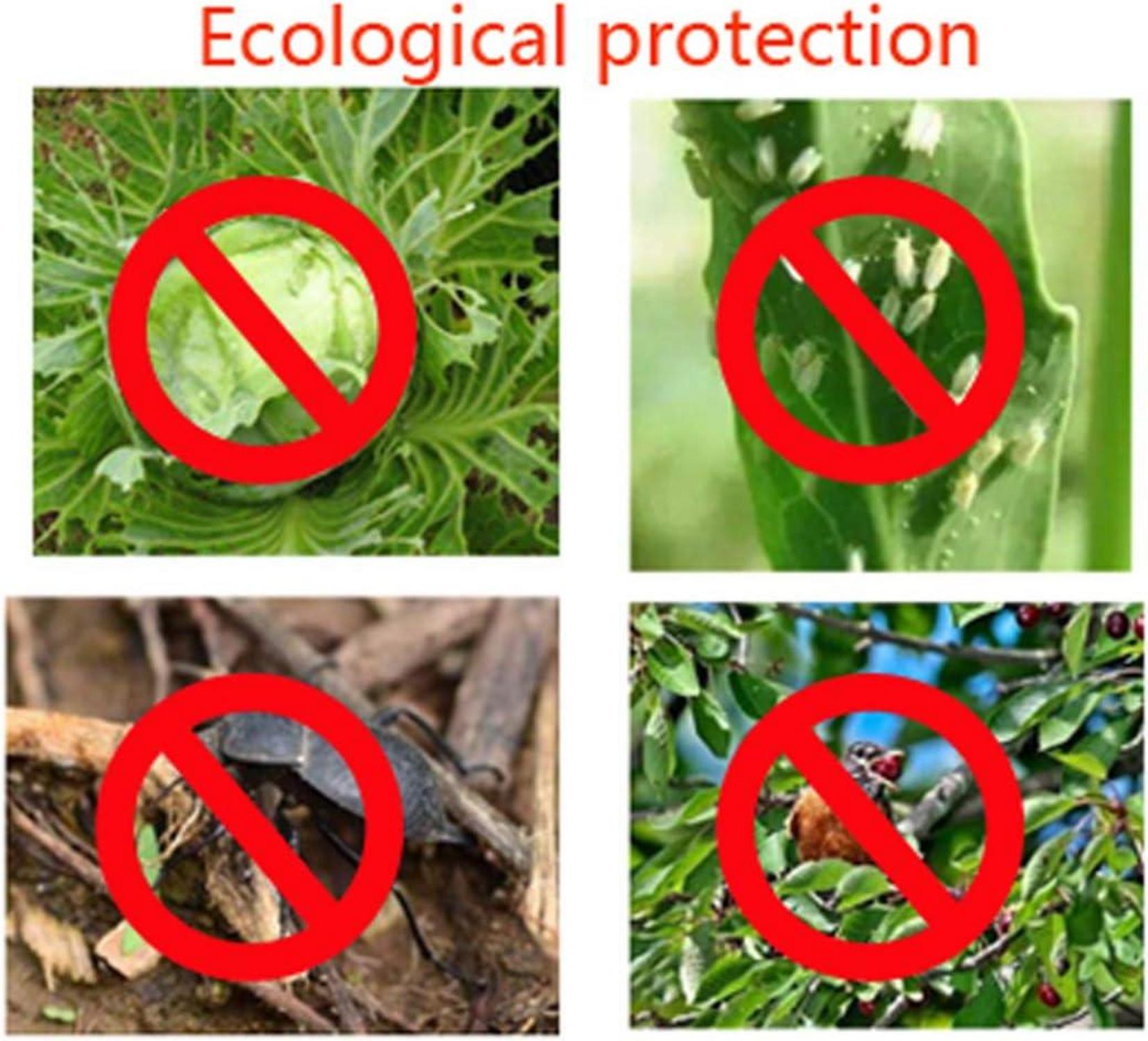 Gartennetz Gemüse Blumen Feinmaschig Insektenschutznetz Vögel 3x8m