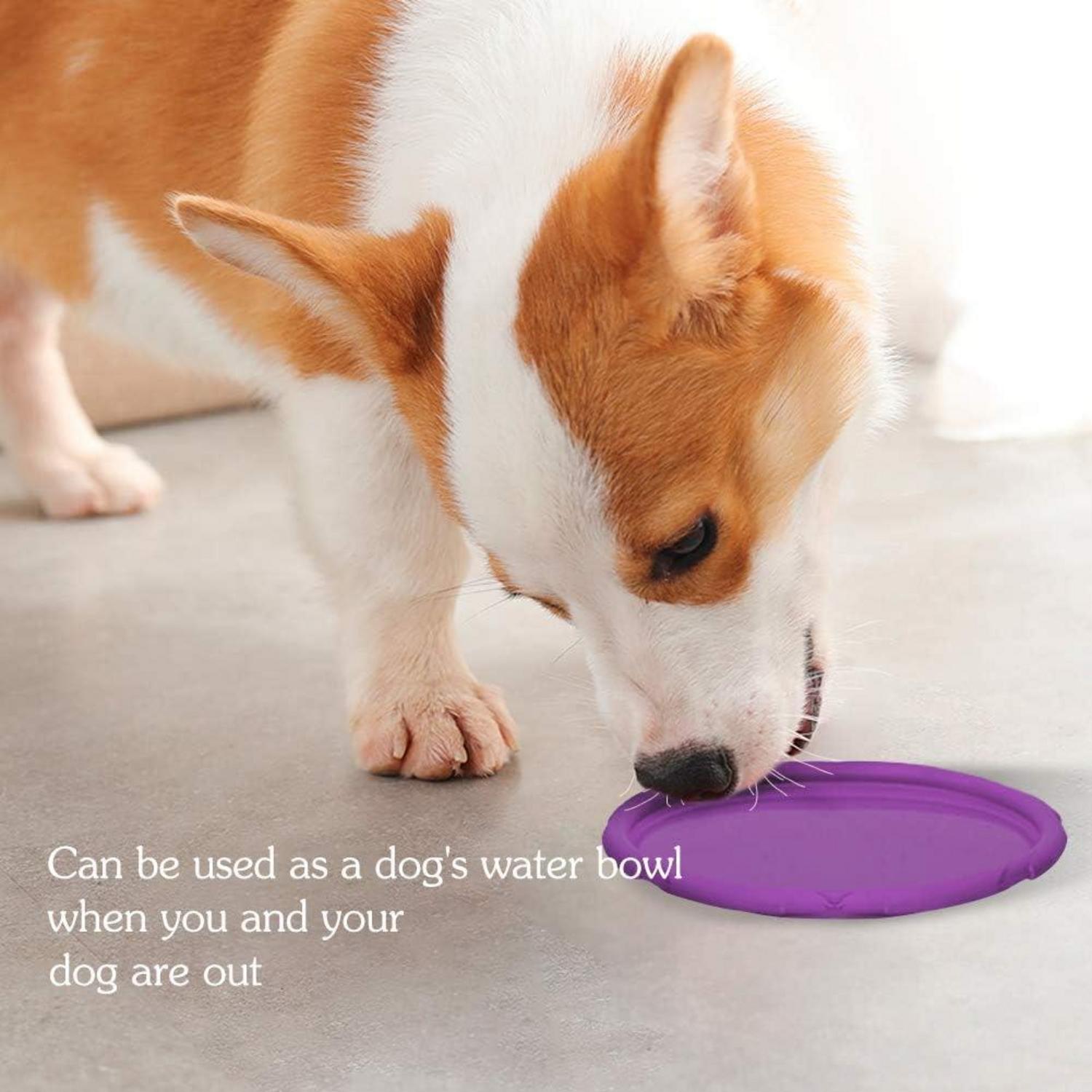 2er Set Hundefrisbee 18cm Natürliches Kautschuk Land Wasser Training