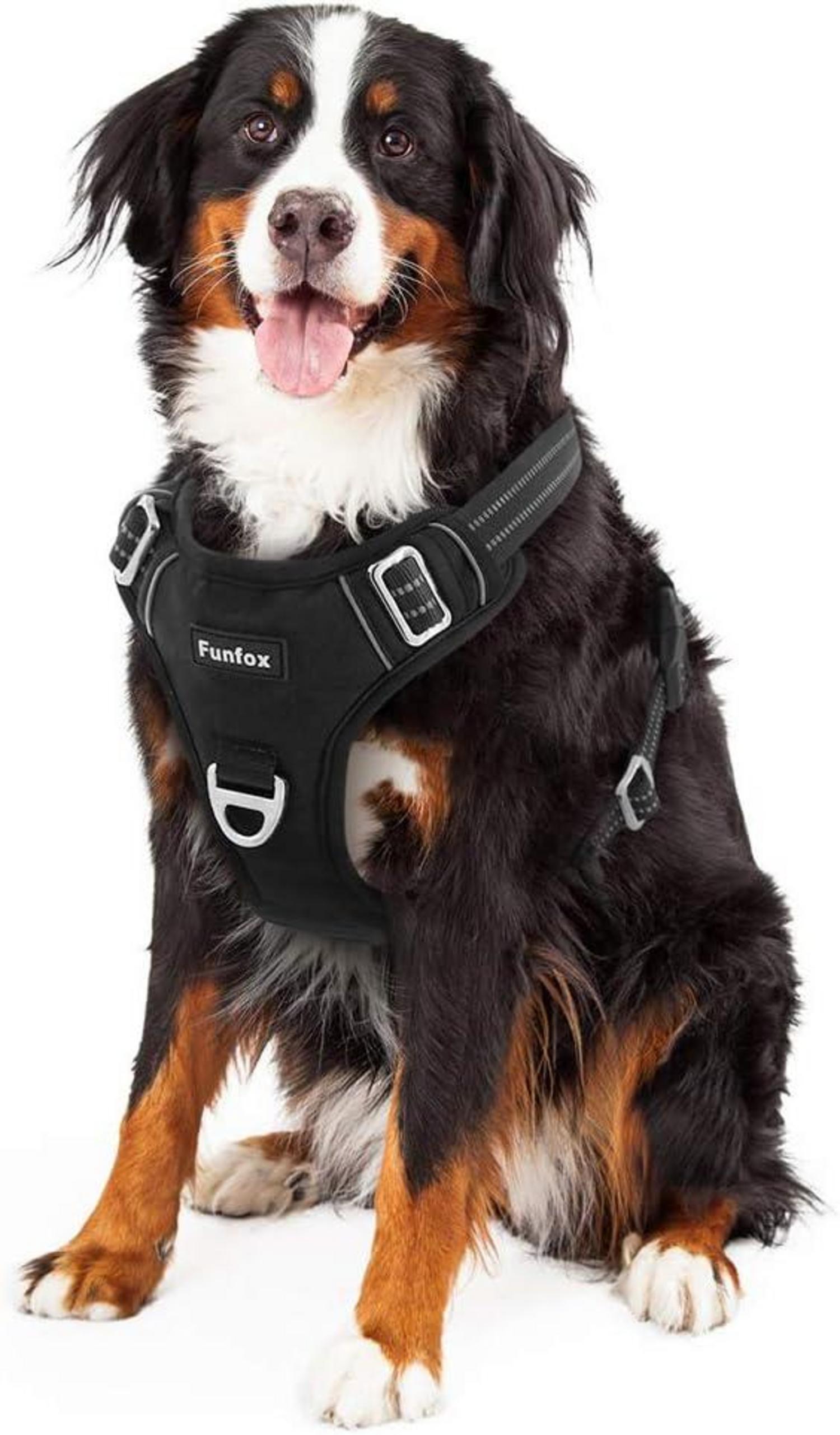 Reflektierendes Hundegeschirr Schwarz Atmungsaktiv XL