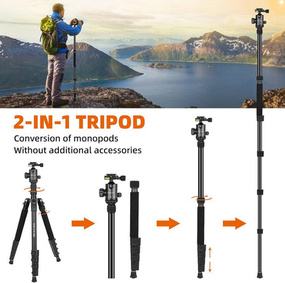 Professionelles Foto Stativ Aluminium 205cm Kugelkopf 36mm 10kg Tragfähigkeit