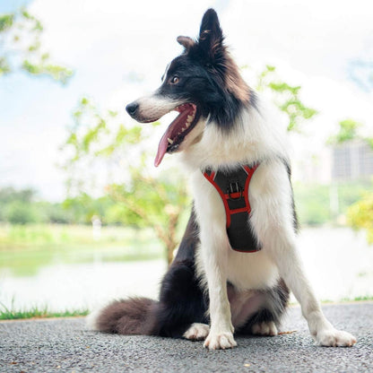 Hundegeschirr mit Griff, reflektierend, verstellbar, Schwarz XS