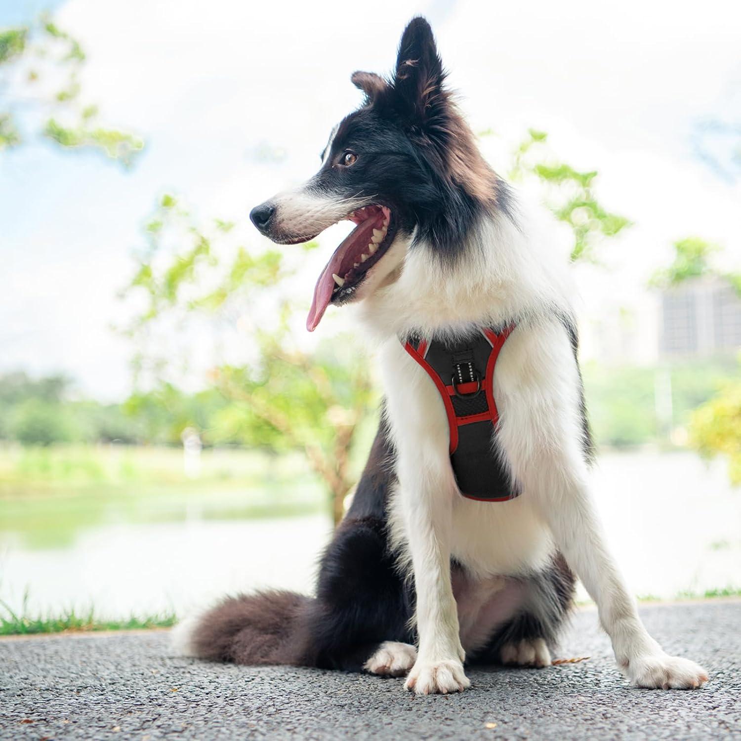 Hundegeschirr ohne Zug mit reflektierender Weste M Schwarz