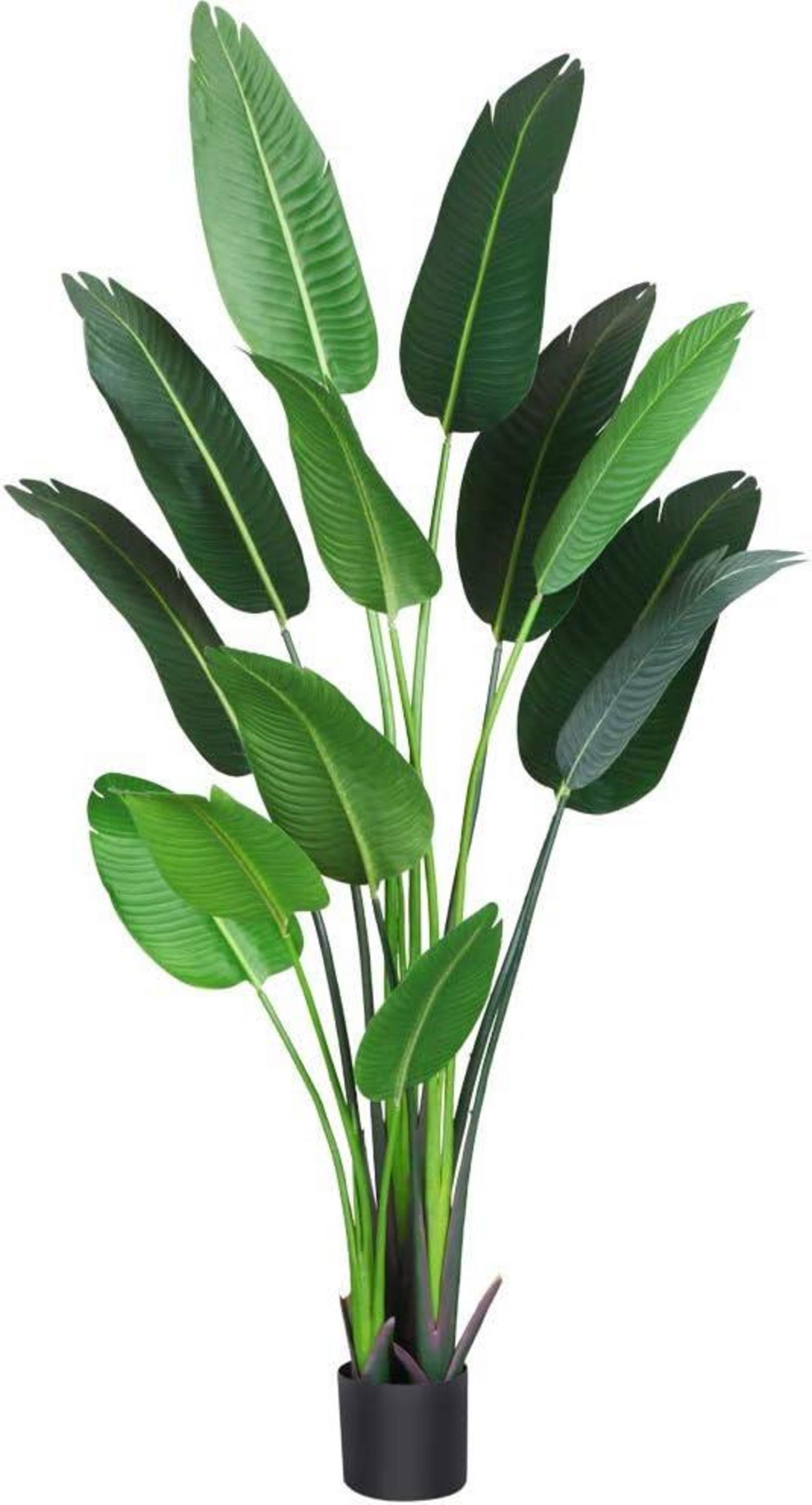 Künstliche Paradiesvogel Palme 180cm Grün für Schlafzimmer Wohnzimmer