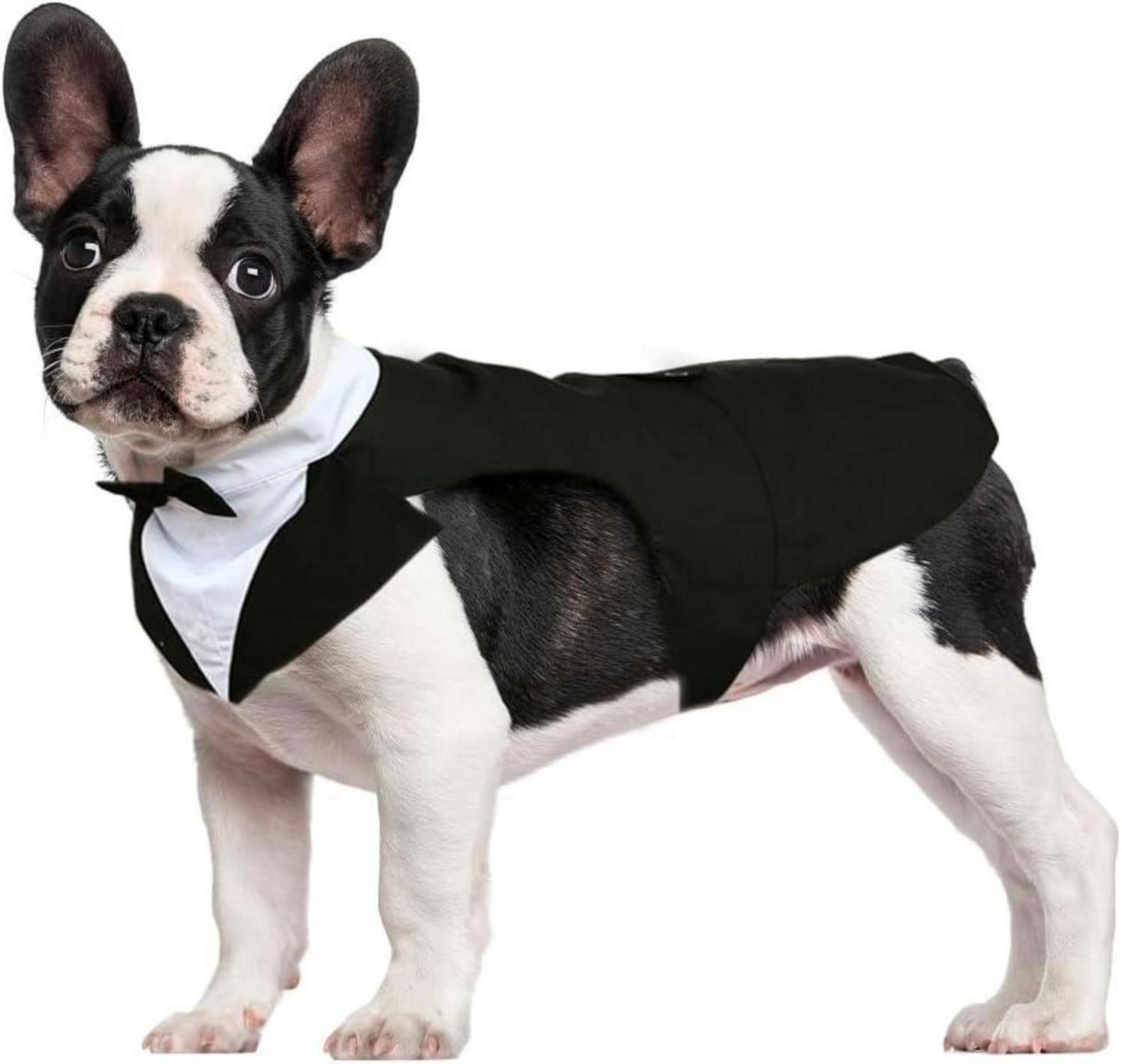 Haustier Smoking Anzug Bandana Set Hundeanzug Hochzeit Schwarz